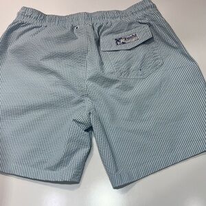 Blue Striped Swim Trunks Surf & Swim Co